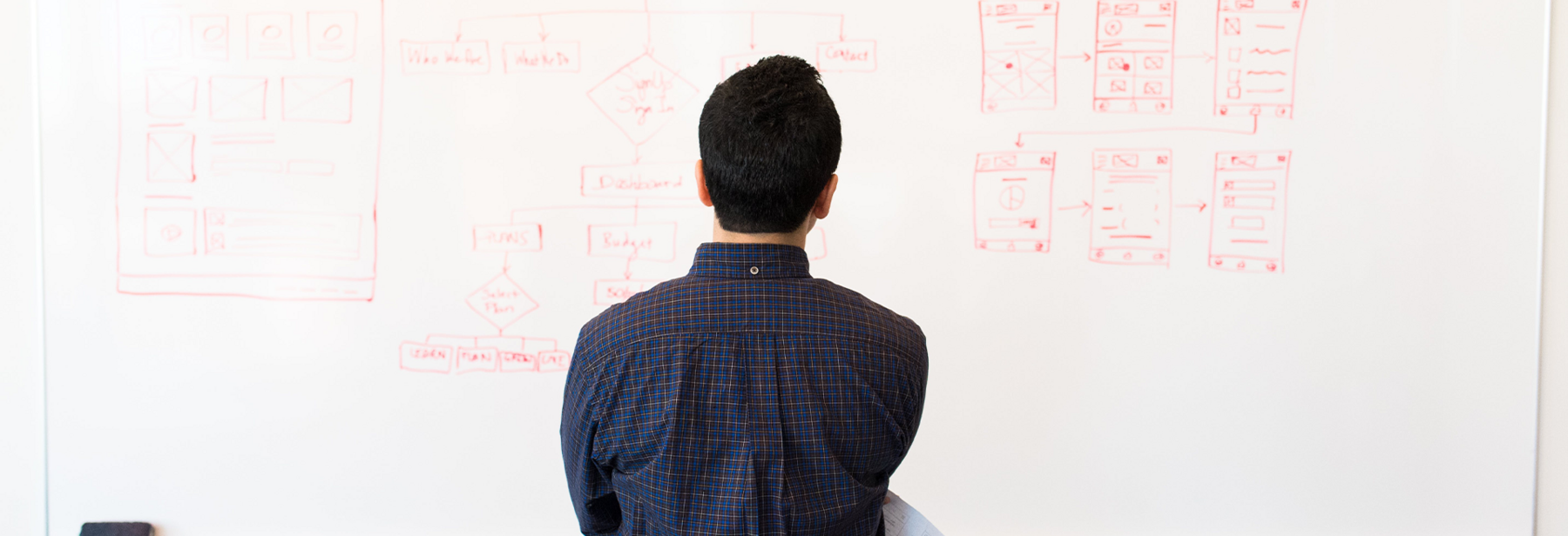 Man looking at plan on whiteboard