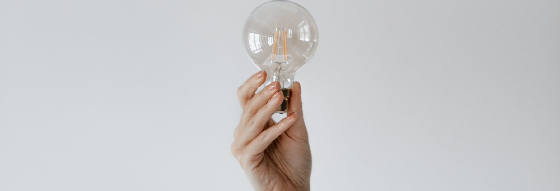 Person's hand holding lightbulb